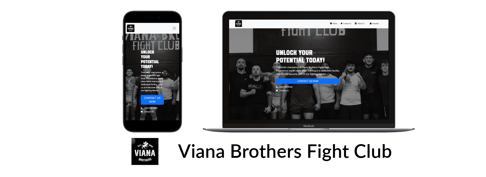 Image of both Mobile and Desktop view of Viana Brothers website.